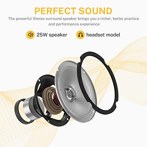 Donner DDP-100 88-Key Weighted Action Digital Piano, Beginner Bundle with Furniture Stand, Power Adapter, Triple Pedals, MP3 Function, Black