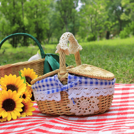 Rattan Picnic Basket with Cover-RED