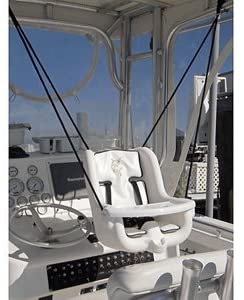 Marine-Grade Baby Seat & Swing
