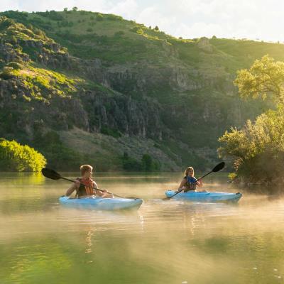 Lifetime Cruze 100 Sit-In Kayak – 2 Pack (Paddles Included) 445