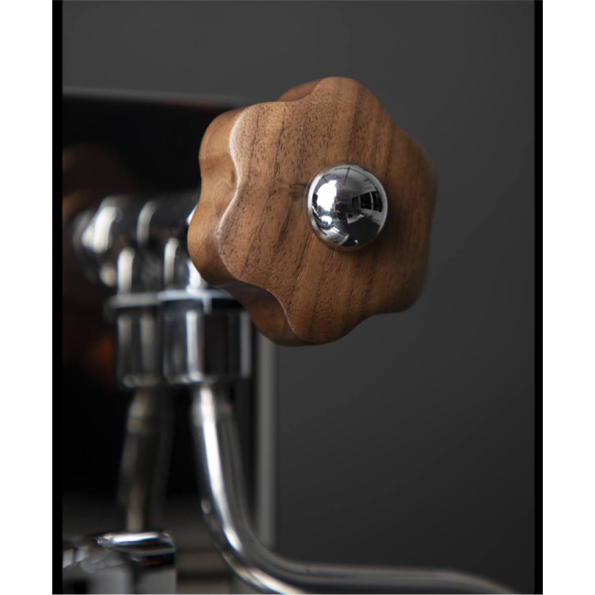 Lelit Bianca 2 Semi-Automatic Dual-Boiler E61 Espresso Machine with PID L162T (Version 2)